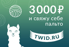 Подарочный сертификат на 3000 ₽